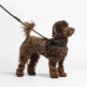 Liu Jo - Pettorina Nera con Borchie Cuori