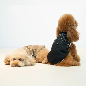 Liu Jo - Felpa Logo e Brillanti