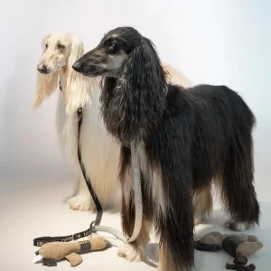 Liu Jo - Guinzaglio Jacquard