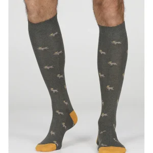 Calza lunga in caldo cotone