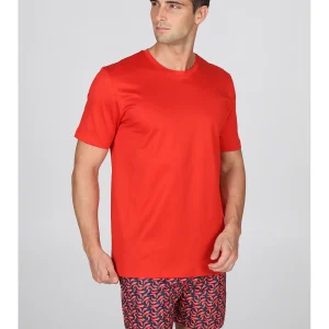 T-shirt estiva in jersey di puro cotone in tinta unita: bluette, rosso e avio