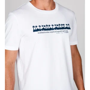 T-shirt in jersey di puro cotone