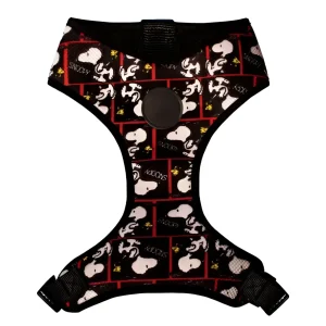 Pettorine Jack Body Charlie Brown Film Black