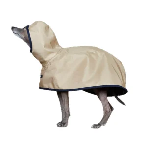 The Striped Dog - Paramount Sabbia