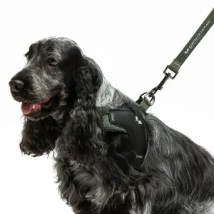 United Pets - Citylife - Pettorina aggancio rapido Plush